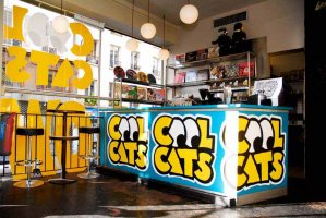 Cool Cats Yellow Shop Paris